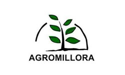 Agromillora